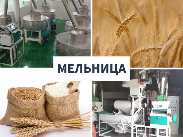 Подходит ли мельница для пшеничной муки для малого бизнеса?